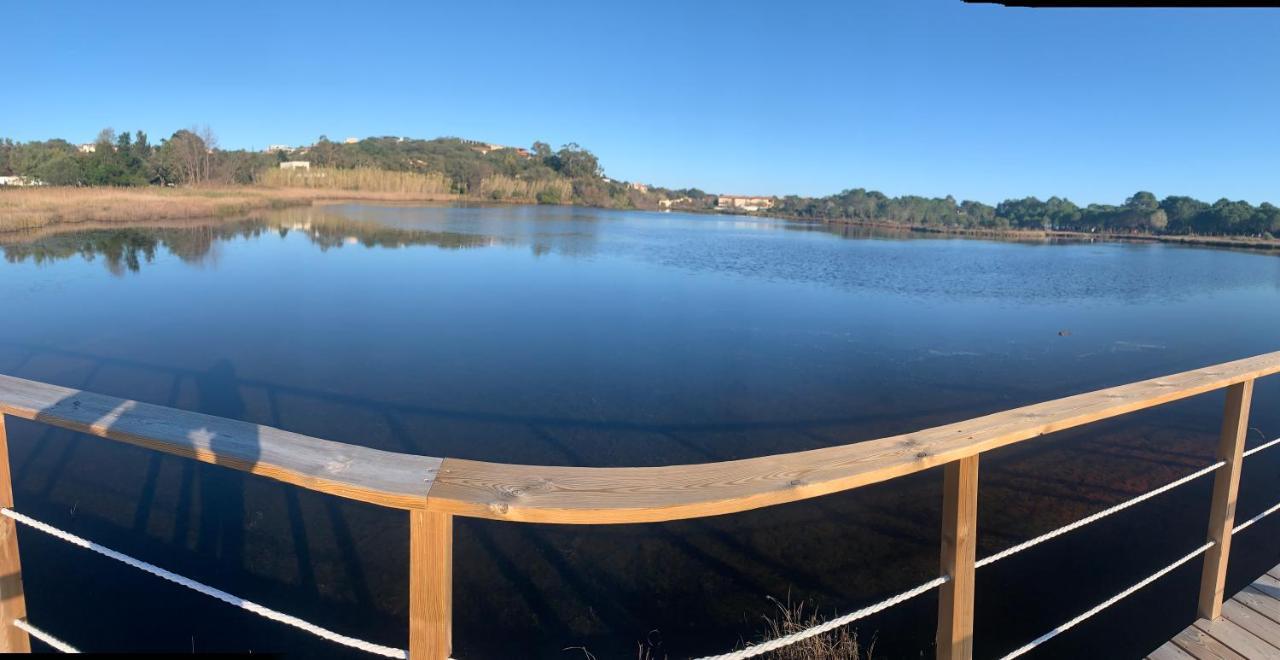 Appartement La corse les pieds dans l'eau à Pinarellu Extérieur photo