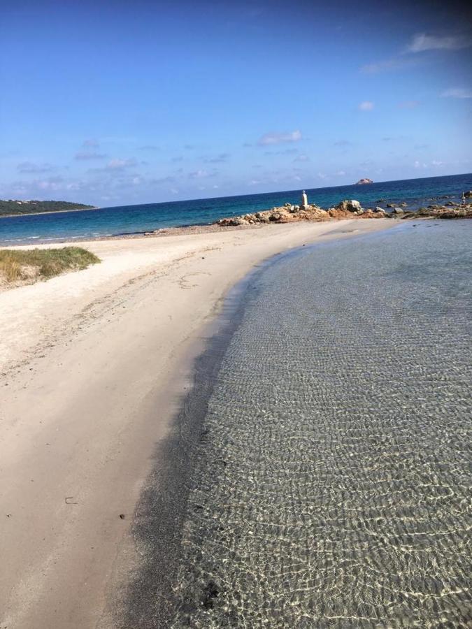 Appartement La corse les pieds dans l'eau à Pinarellu Extérieur photo